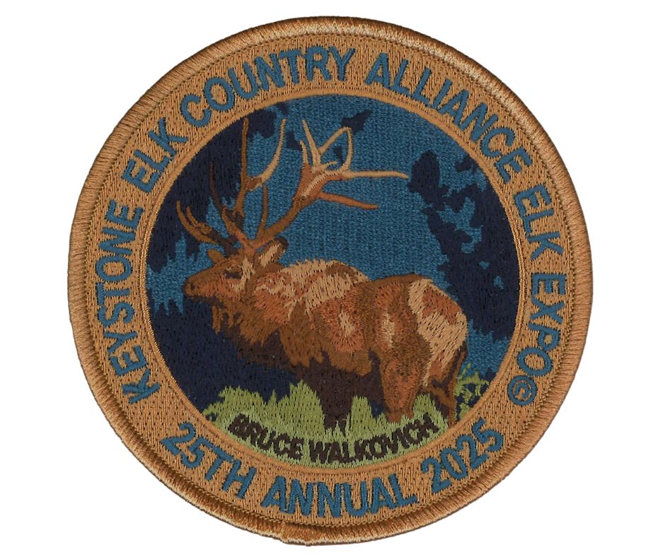 2025 Patch